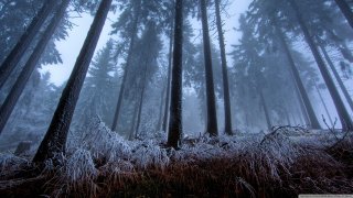test_image_67